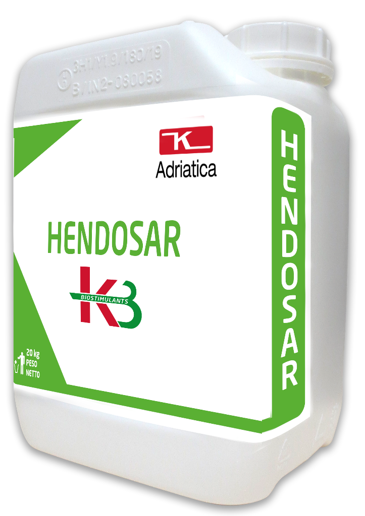 HENDOSAR